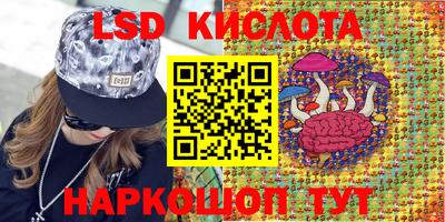 стаф Севастополь