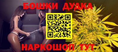 стаф Севастополь