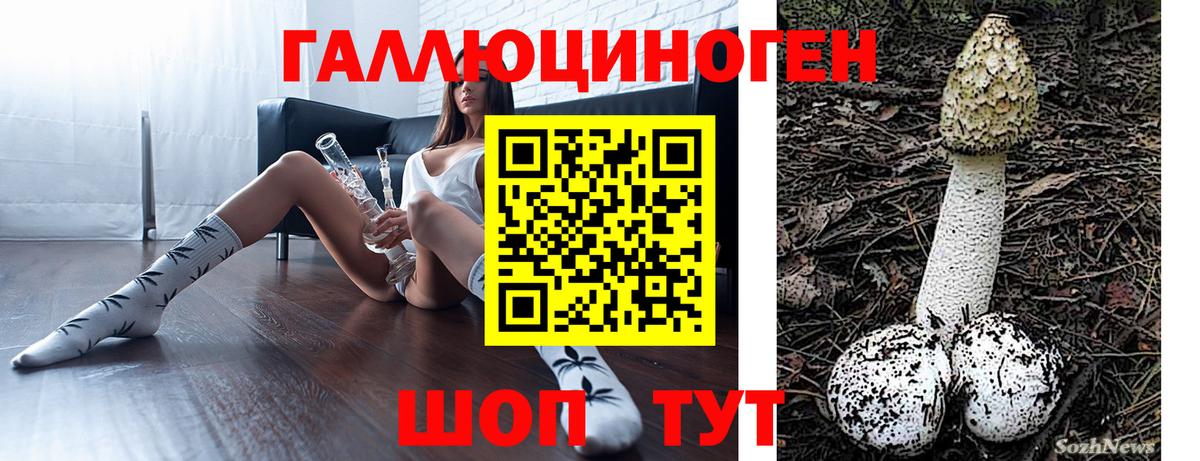 Псилоцибиновые грибы GOLDEN TEACHER  Вход с VPN  Нефтеюганск 