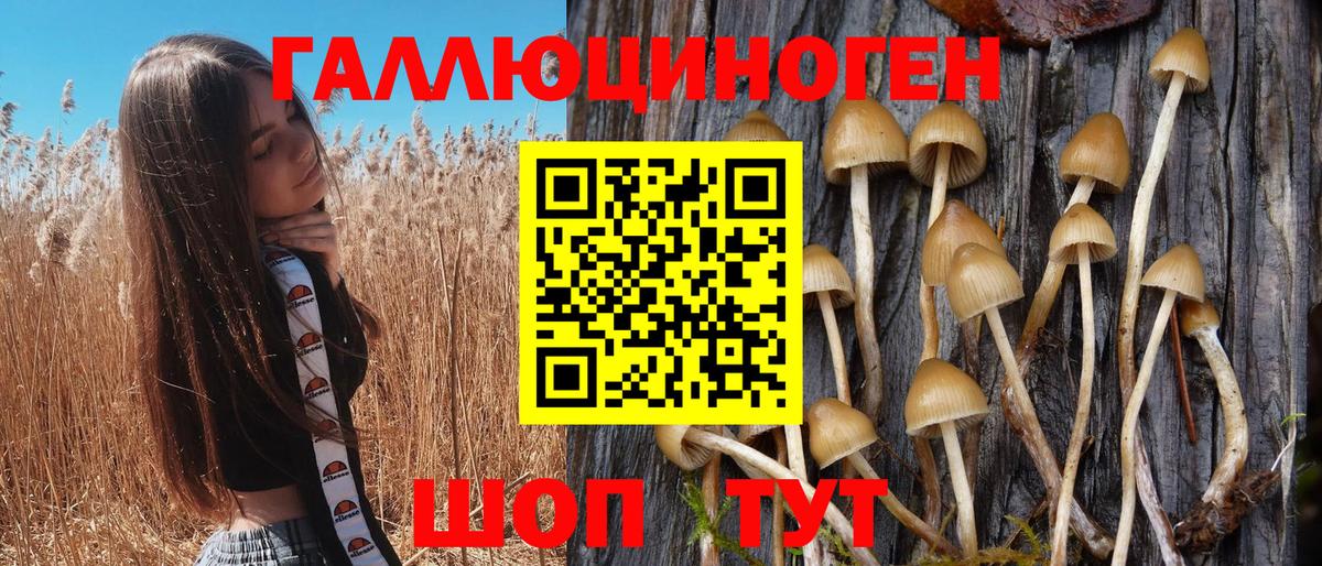 Псилоцибиновые грибы Cubensis Нефтеюганск